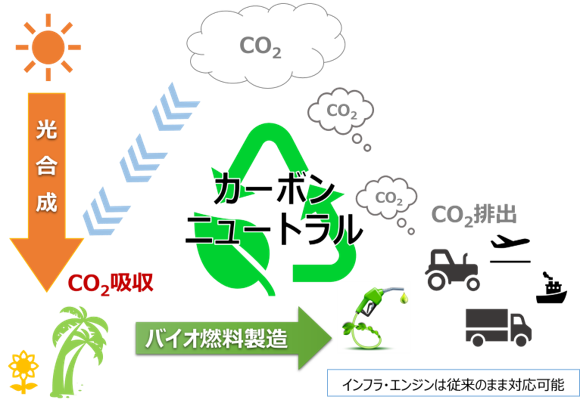 カーボンニュートラル（イメージ）